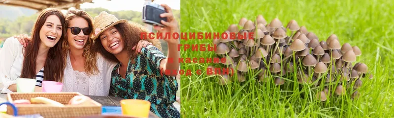 купить   OMG ссылка  Псилоцибиновые грибы Psilocybine cubensis  Елец 